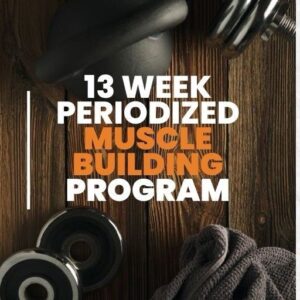 13 week fitness program